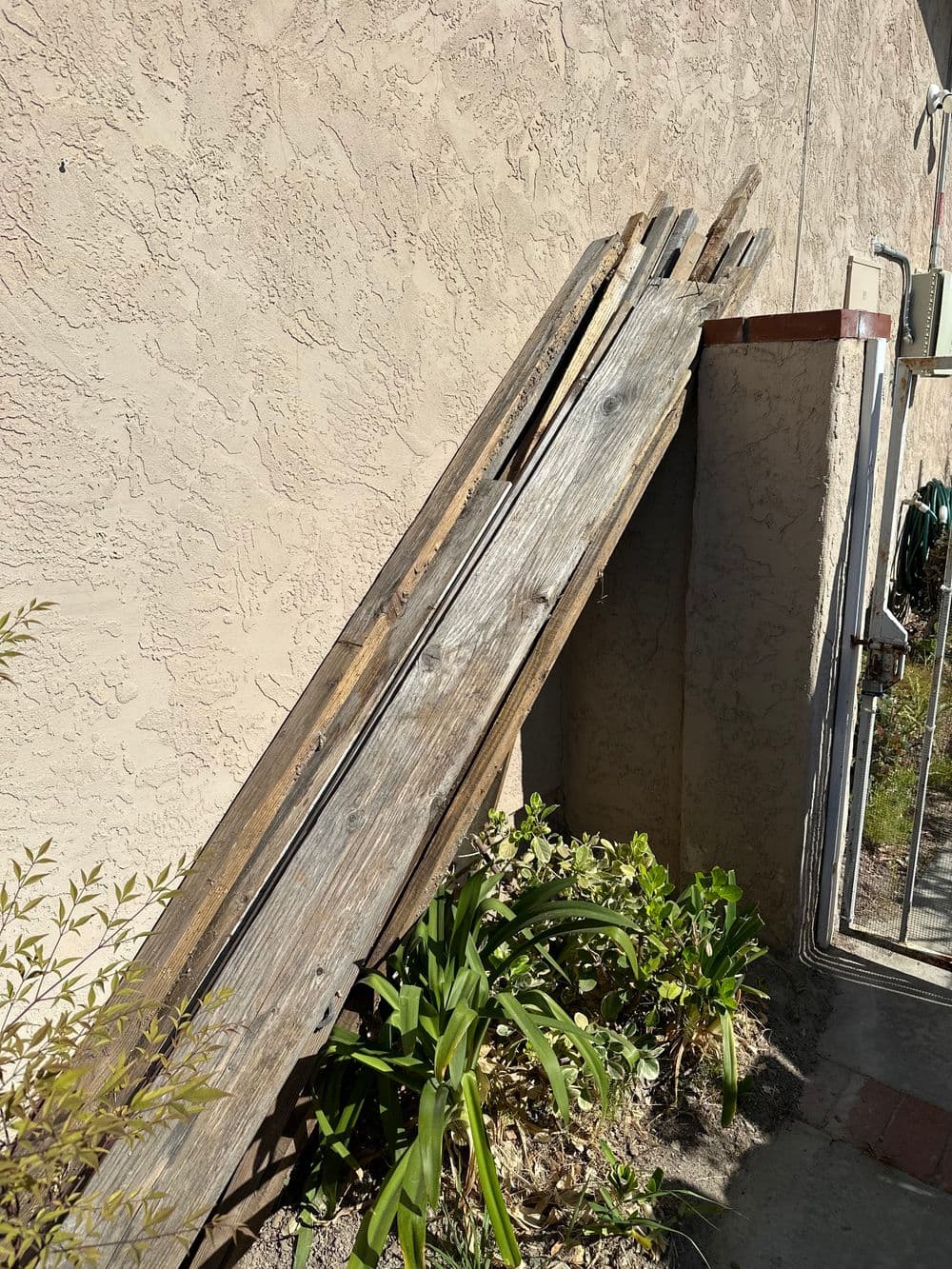 Old wooden planks leaning against a stucco wall, with greenery in the foreground.