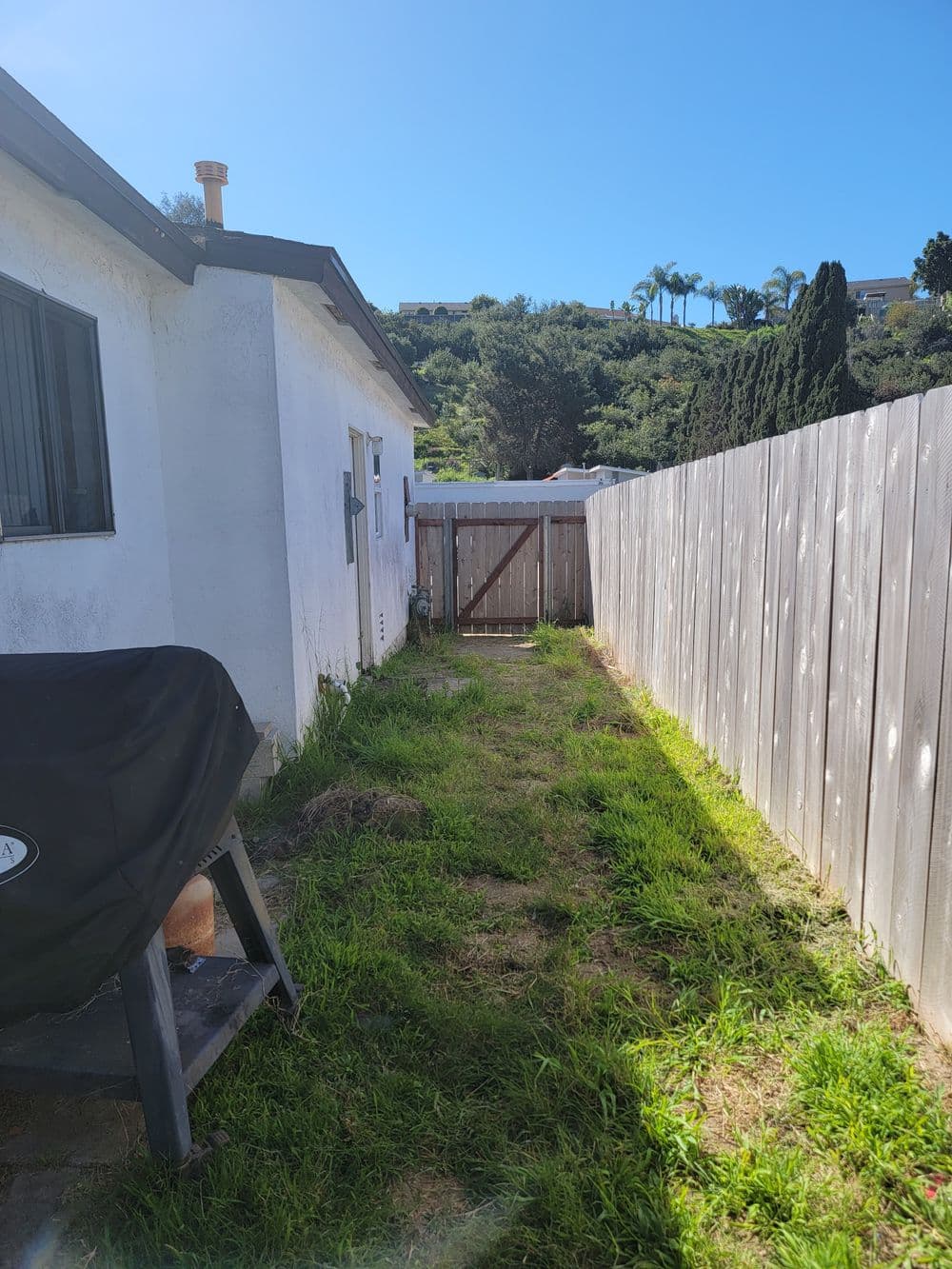 Narrow backyard pathway beside house, leading to a wooden gate, surrounded by greenery.